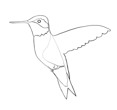 Hummingbird - Good Luck