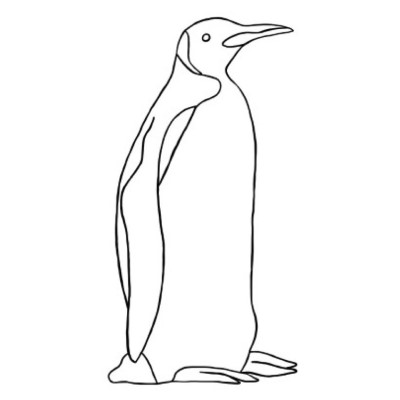 Penguin - Endurance
