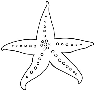 Starfish - Renewal